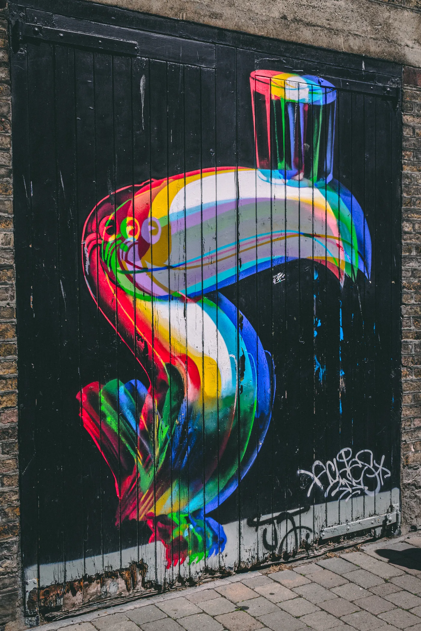 Ireland 2025 - Ireland 25 03105