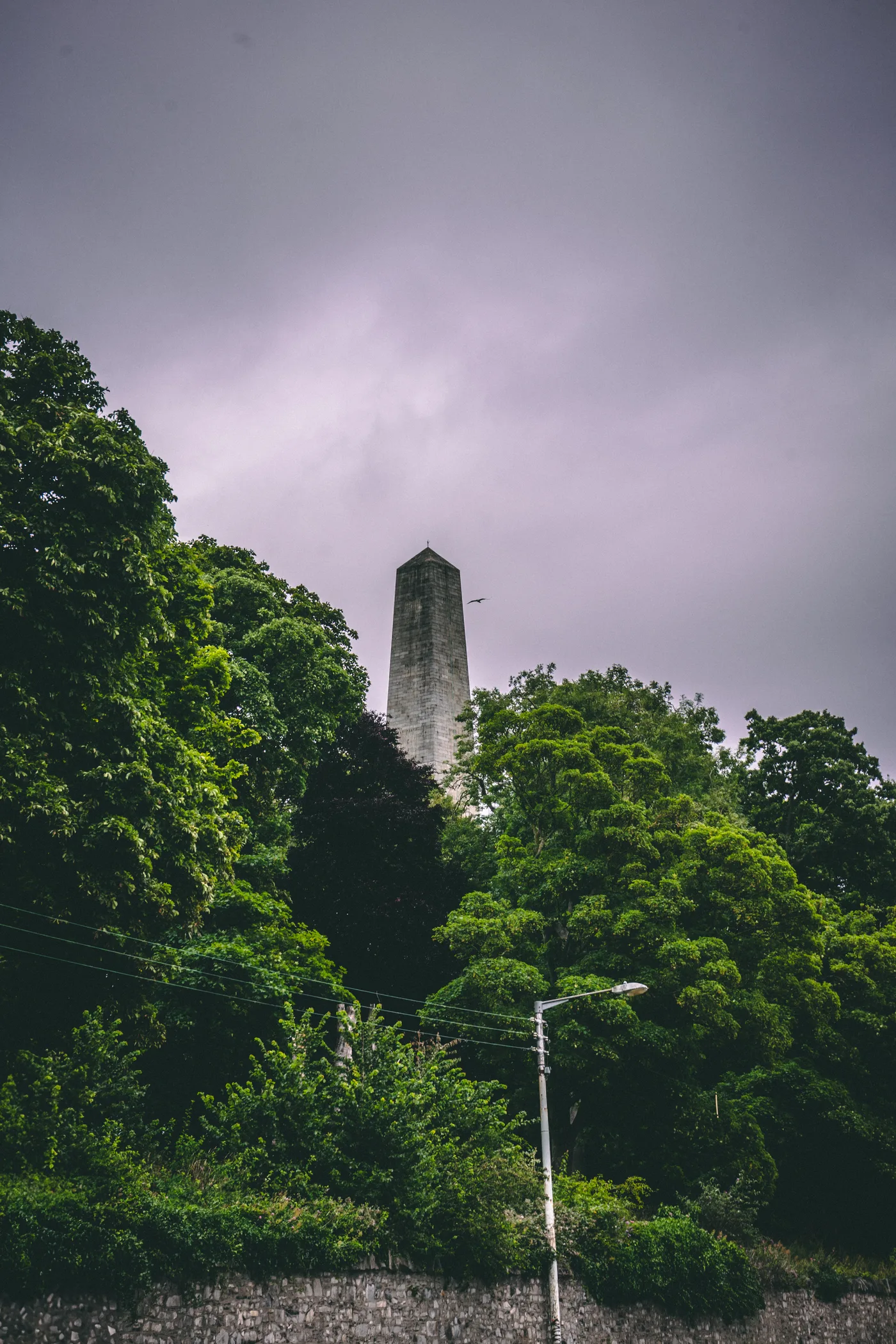 Ireland 2025 - Ireland 25 03332