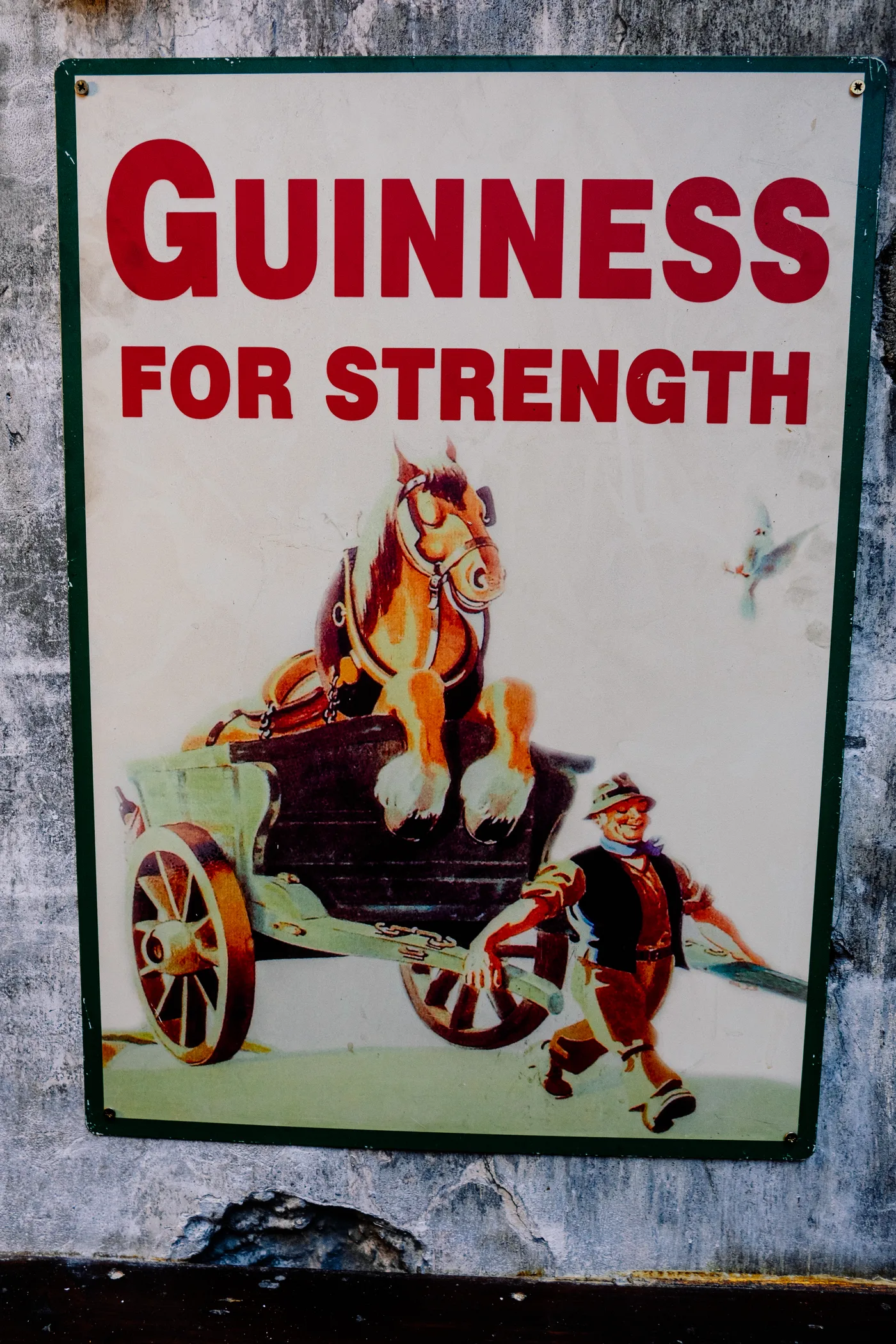 Ireland 2025 - Ireland 25 03353