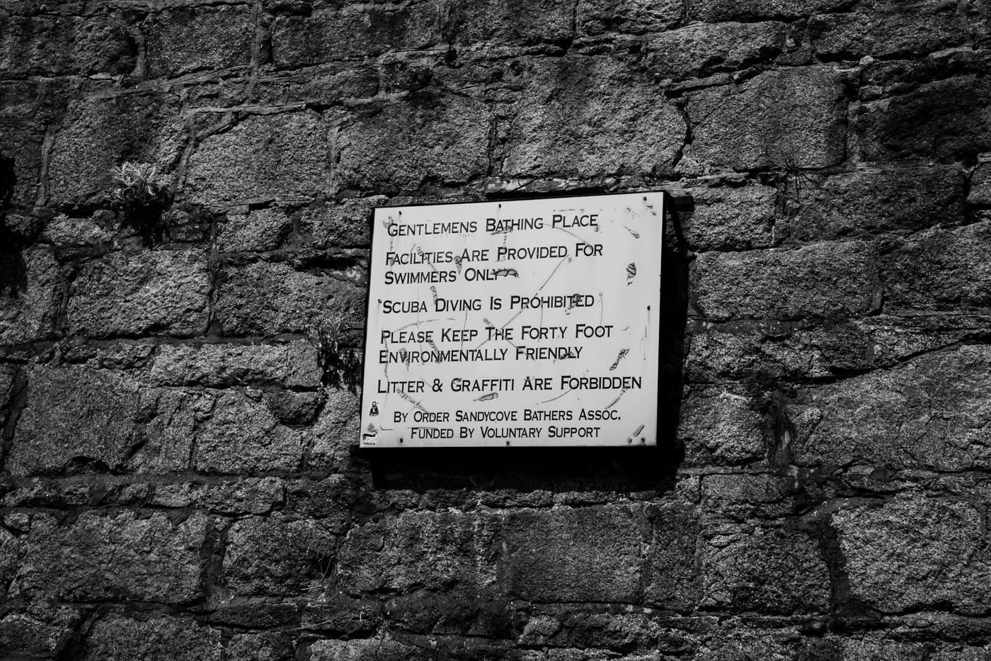 Ireland 2025 - Ireland 25 03403
