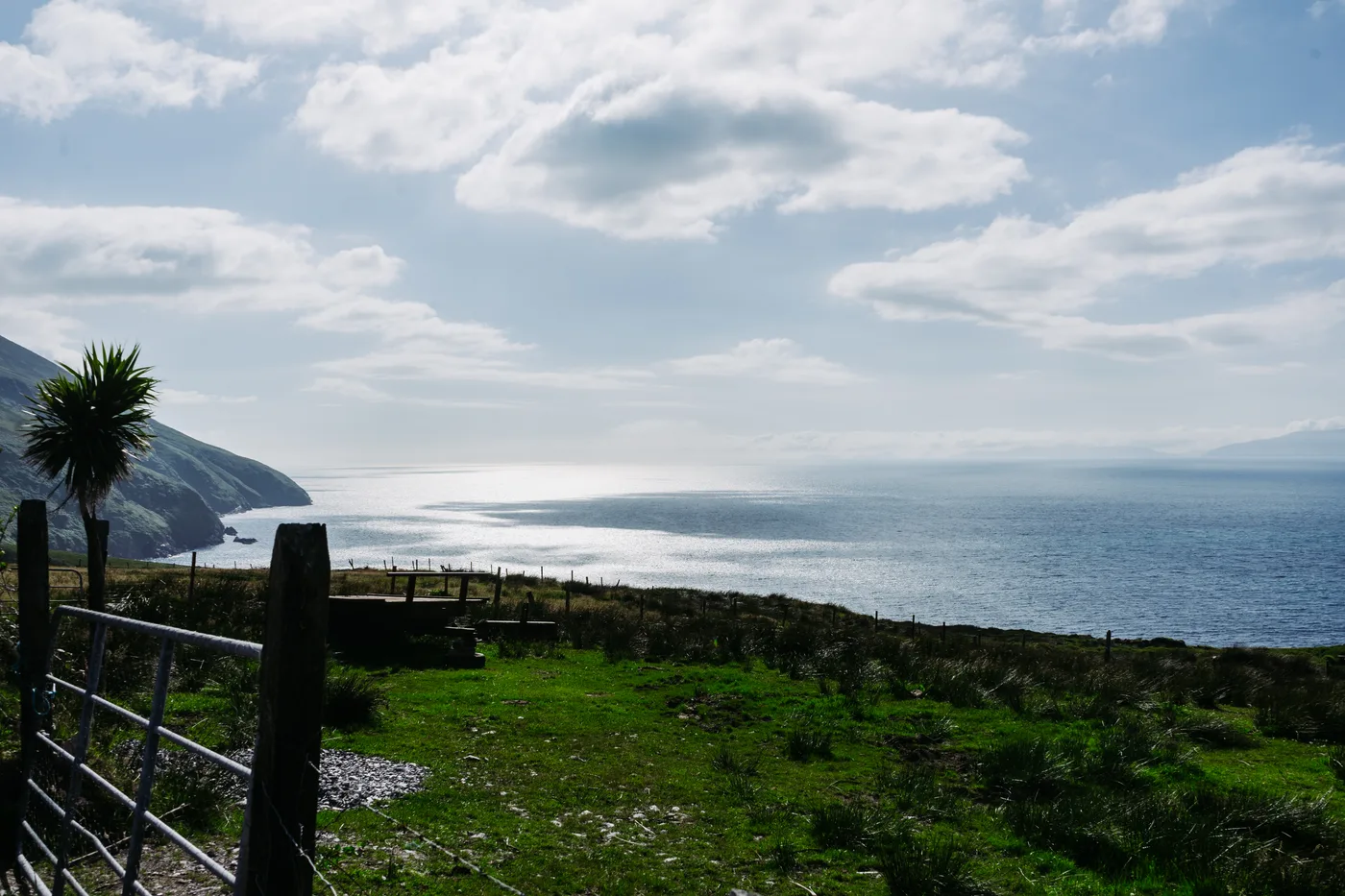Ireland 2025 - Ireland 25 03668
