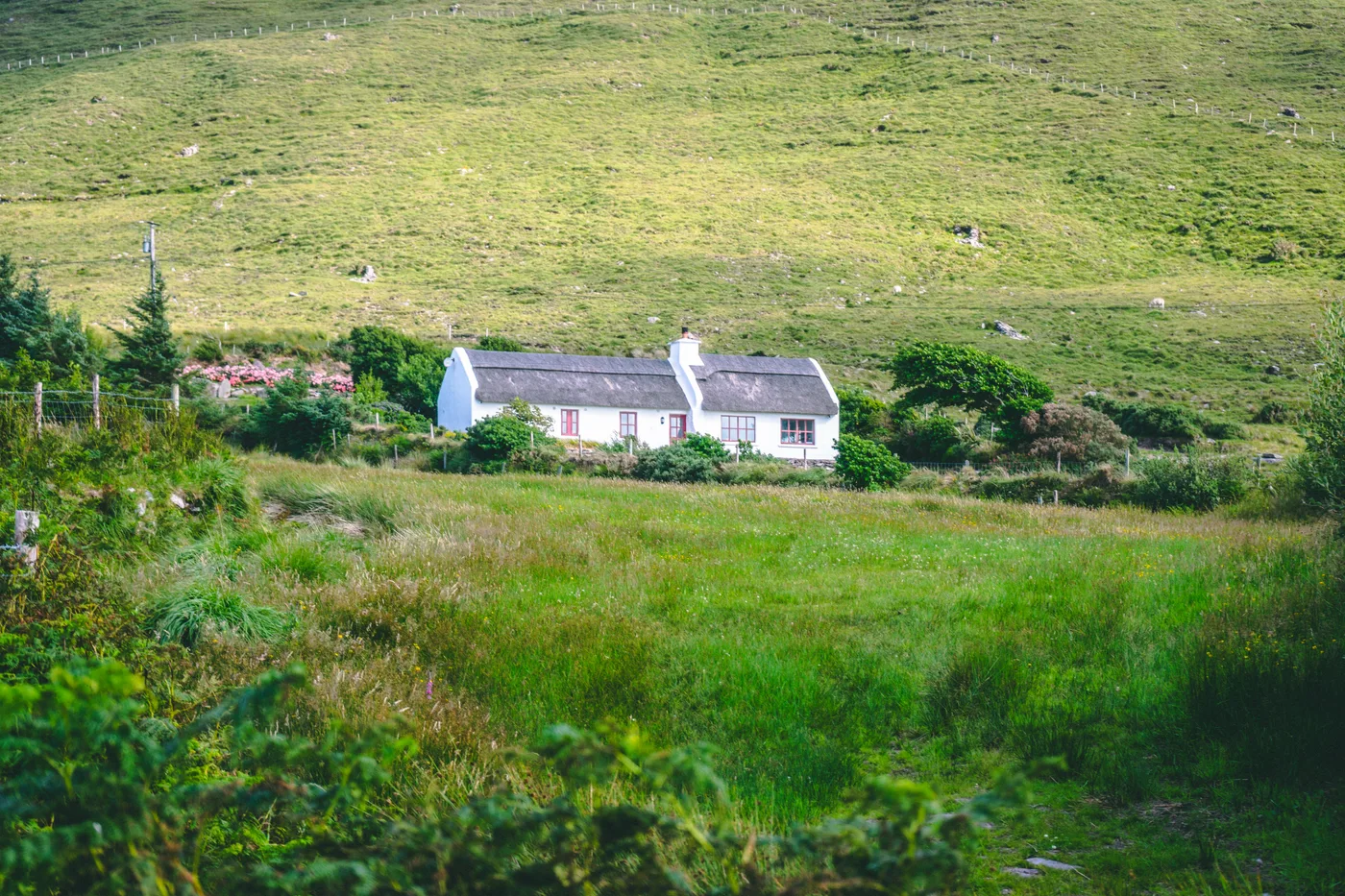 Ireland 2025 - Ireland 25 03673
