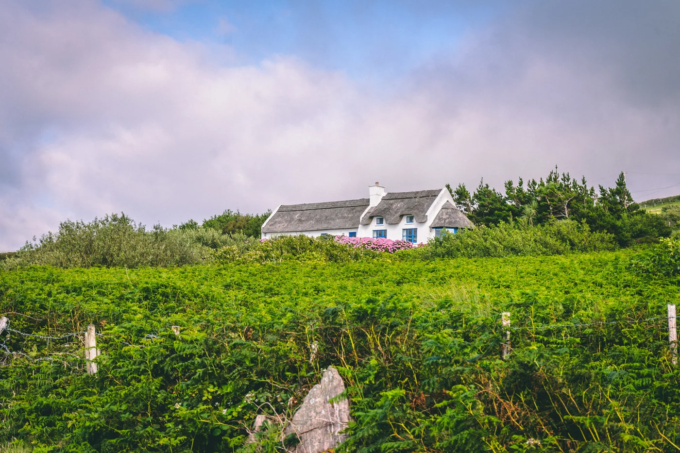 Ireland 2025 - Ireland 25 03675
