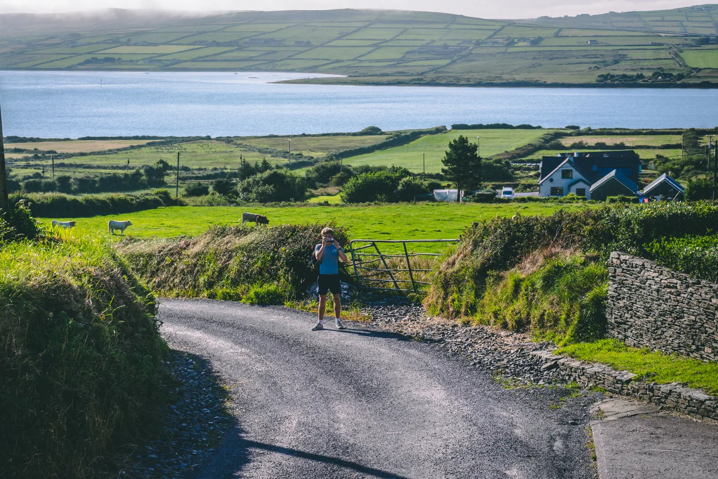 Ireland 2025 - Ireland 25 03677