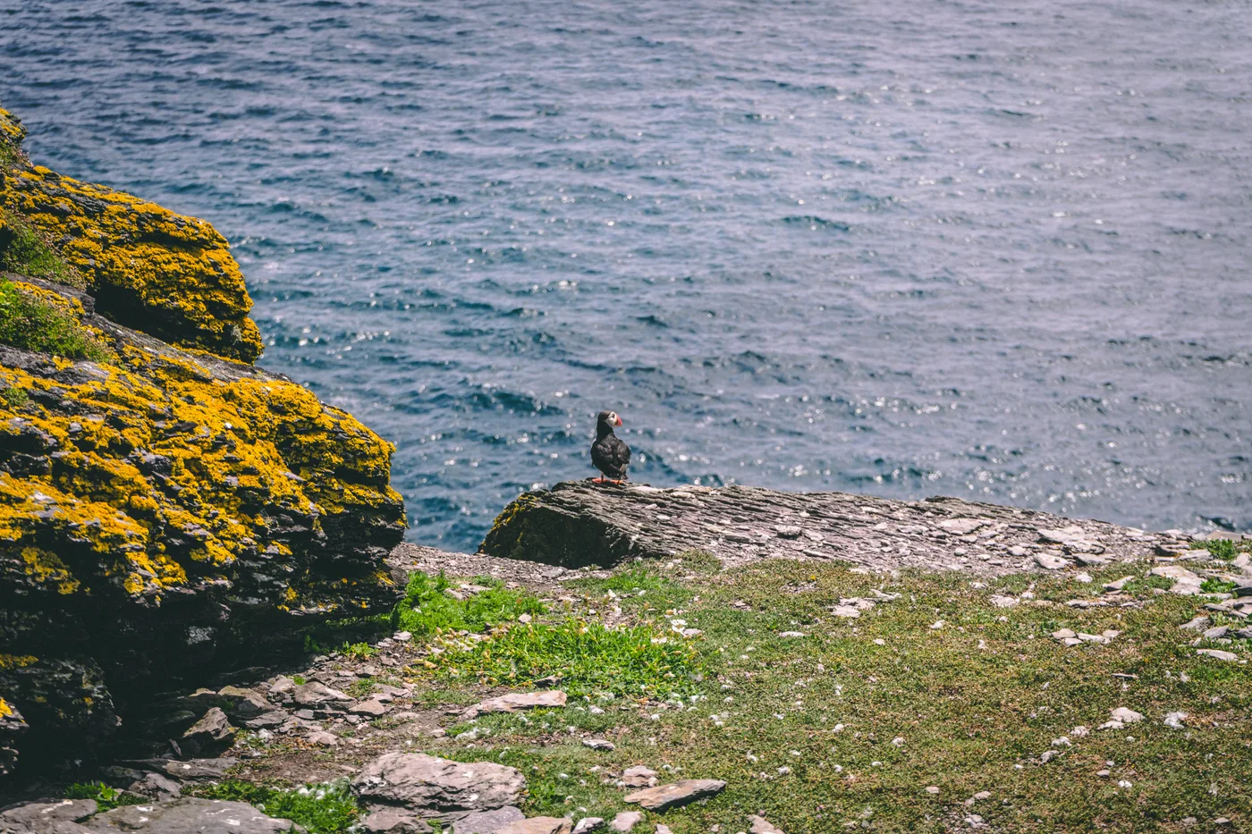 Ireland 2025 - Ireland 25 03801