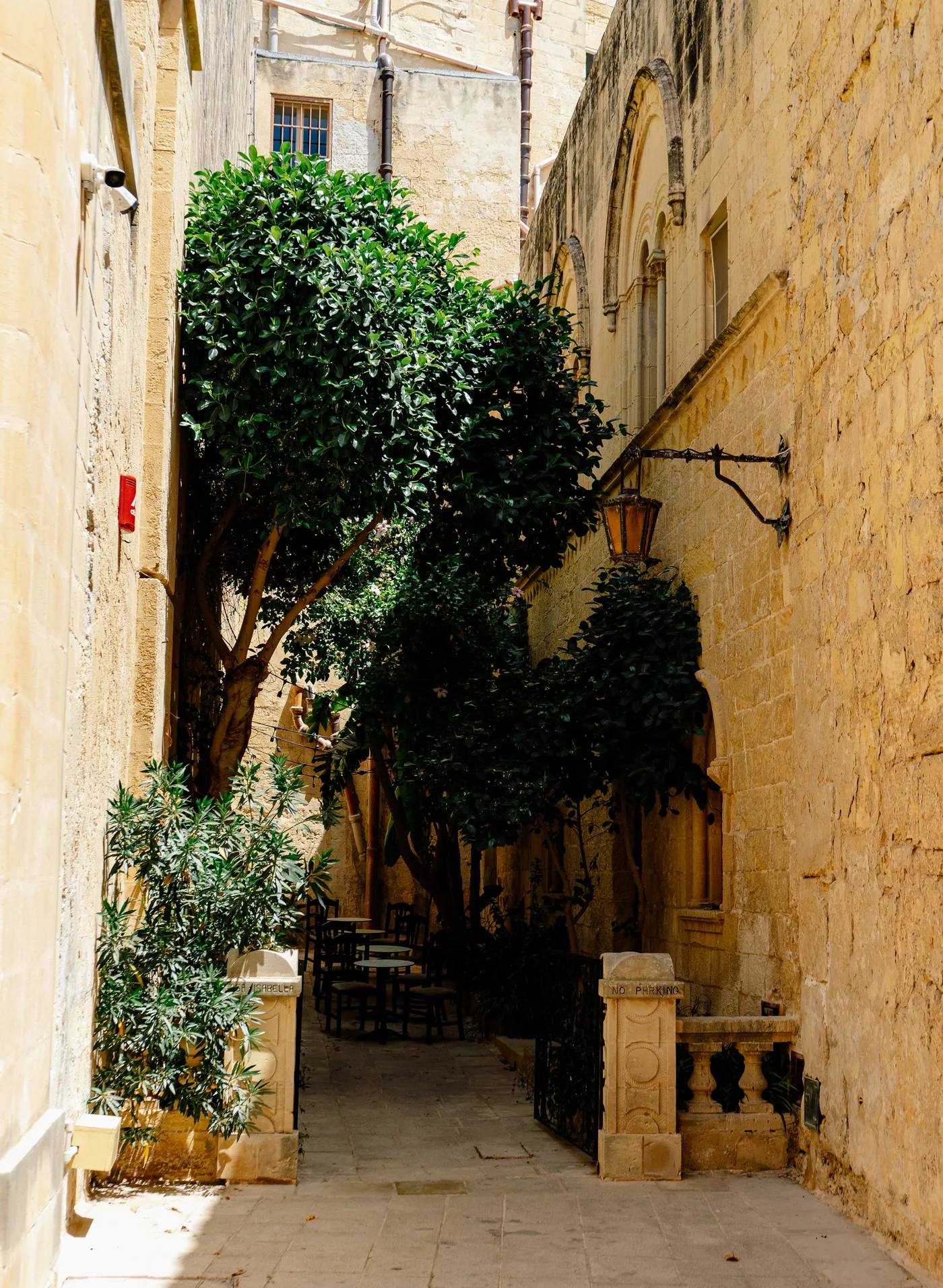 Malta 2025 photo 04240