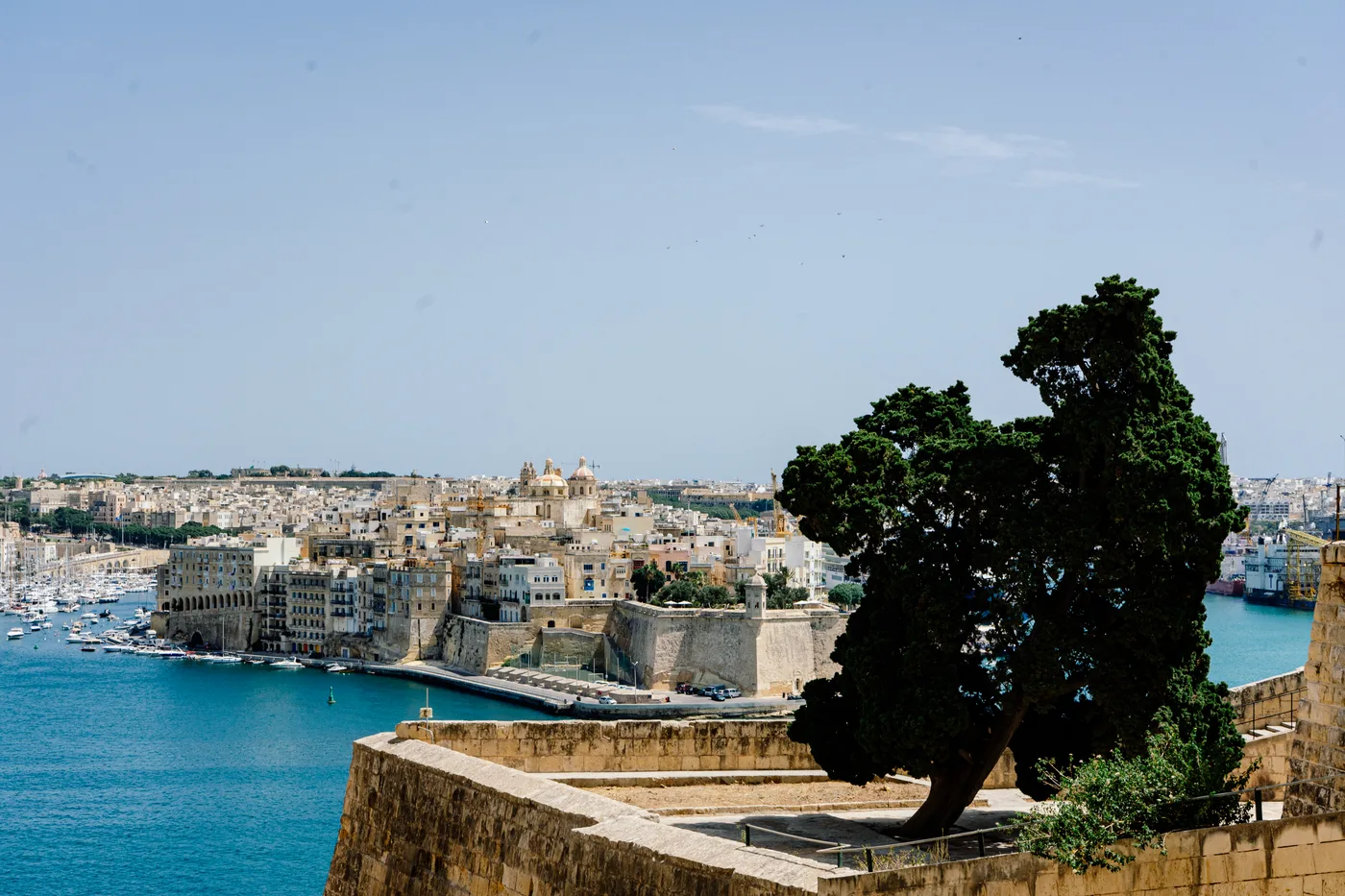 Malta 2025 photo 04721