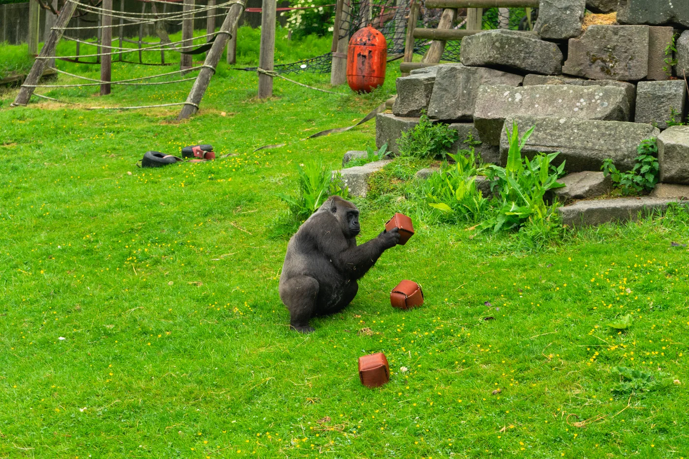 Port Lympne May 2025 - Portlympne 02919
