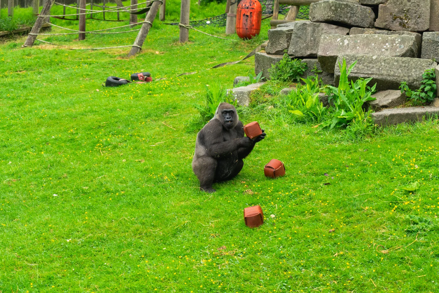 Port Lympne May 2025 - Portlympne 02920