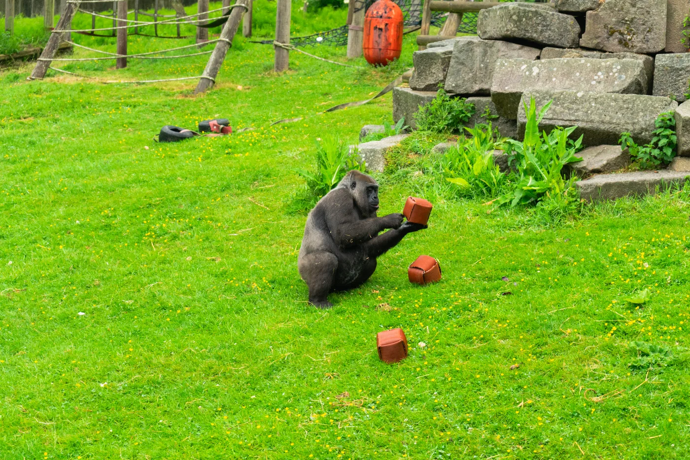 Port Lympne May 2025 - Portlympne 02921