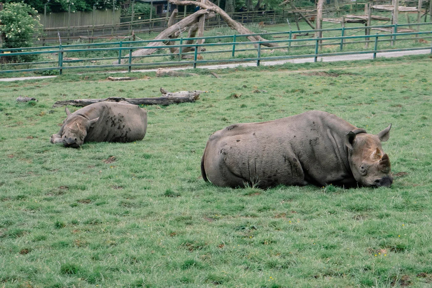 Port Lympne May 2025 - Portlympne 03030