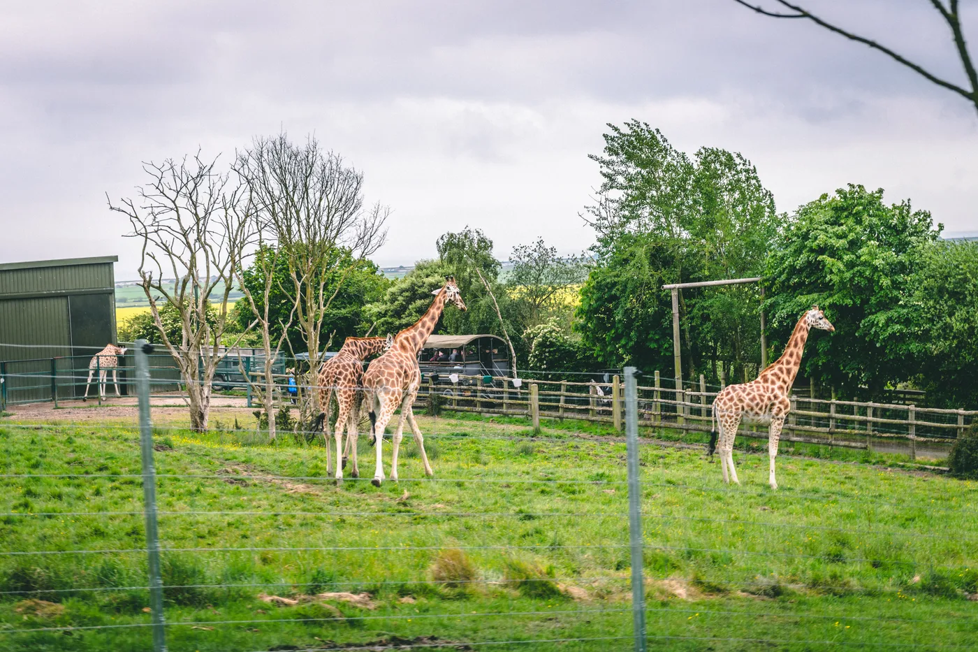 Port Lympne May 2025 - Portlympne 03053