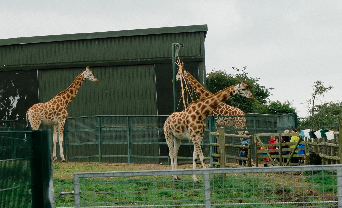 Port Lympne May 2025 - Portlympne 03058