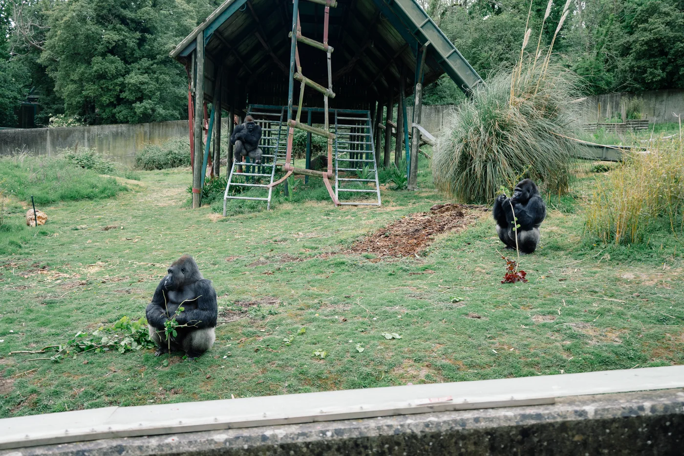 Port Lympne May 2025 - Portlympne 03074
