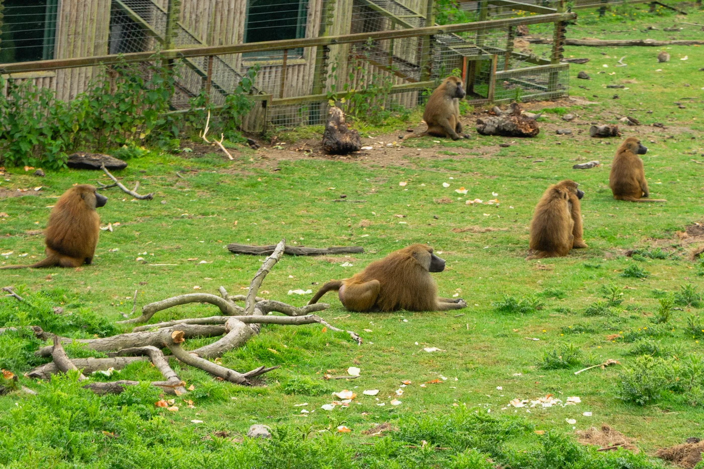 Port Lympne May 2025 - Portlympne 03079