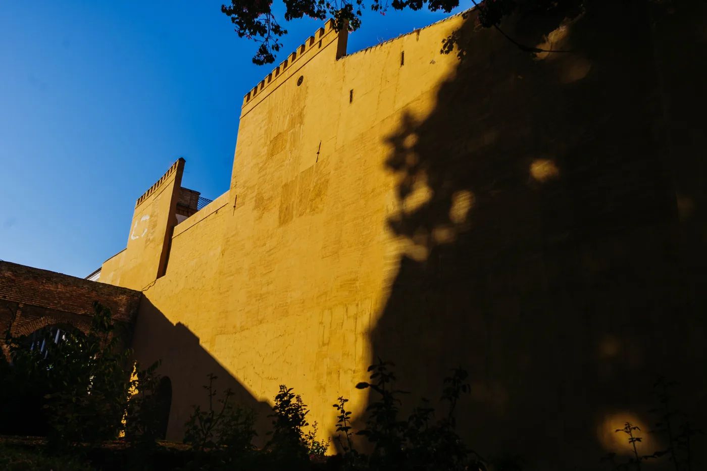 Spain 2025 photo 04965