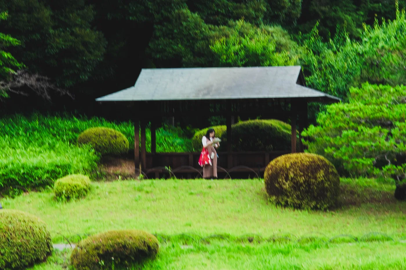 Tokyo Part One photo 06609