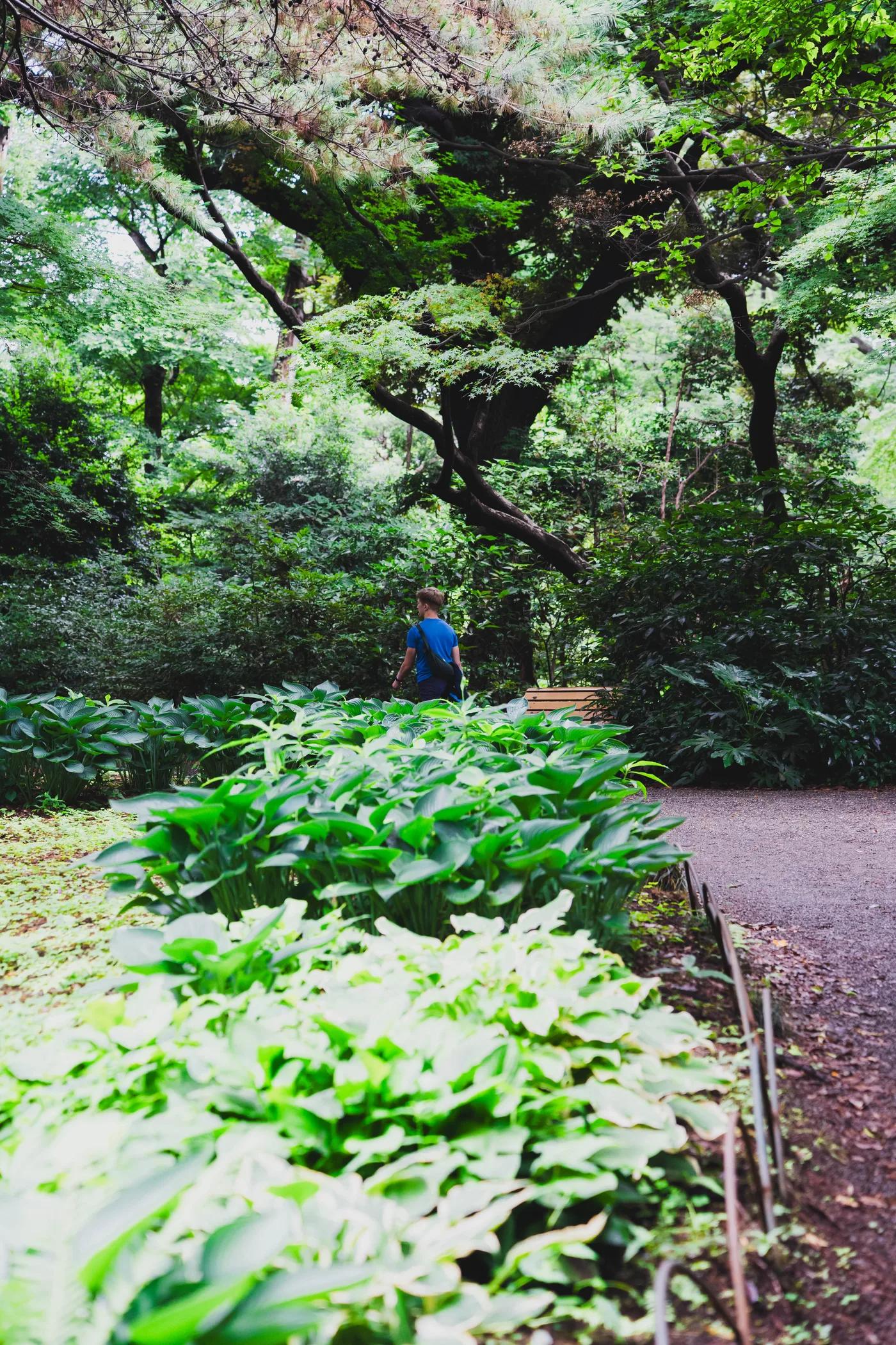 Tokyo Part One photo 06618