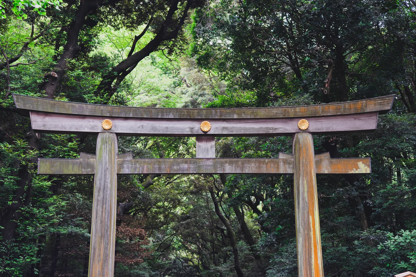 Tokyo Part One photo 06652