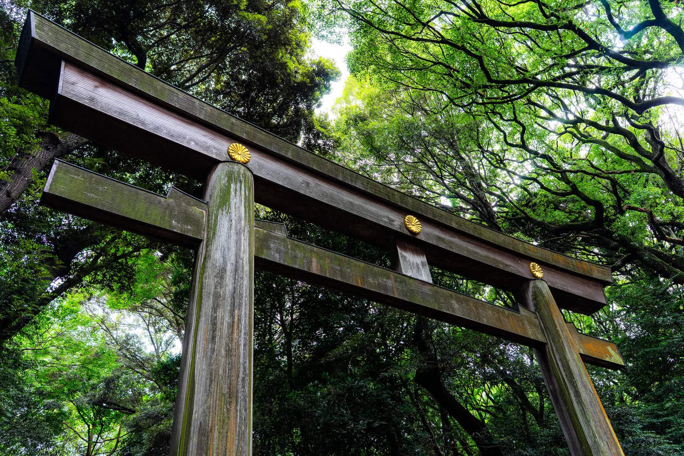 Tokyo Part One photo 06656
